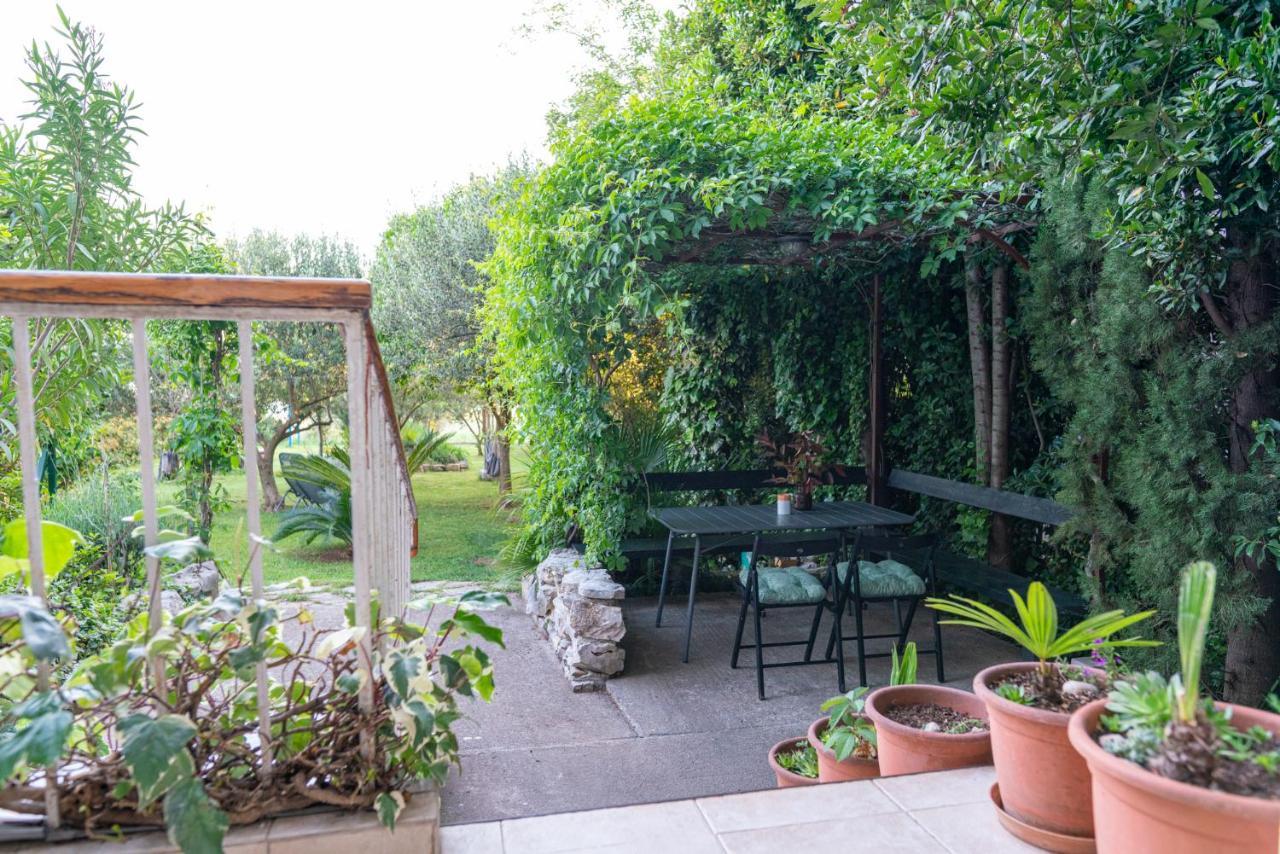 Appartement Maris à Sveti Filip i Jakov Extérieur photo